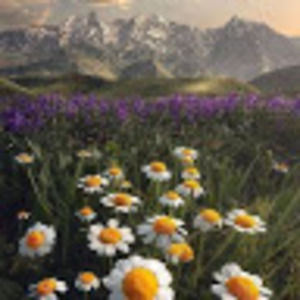 Meet your Posher, Maria